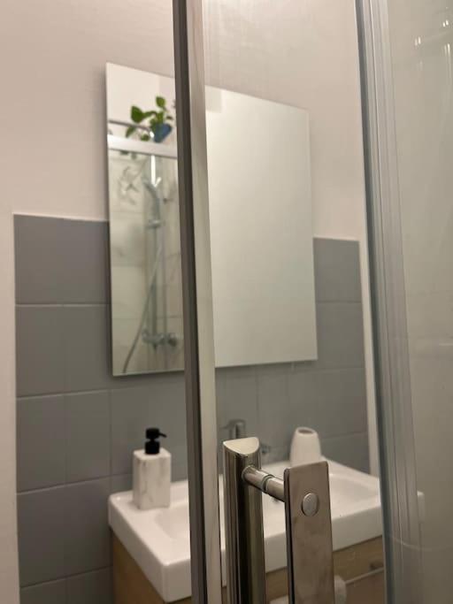 Appartement Cosy Rent Wifi Gare 1 Dream Host Straatsburg