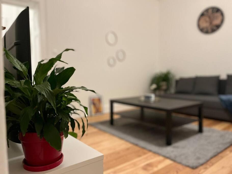 Cosy Rent Wifi Gare 1 Dream Host Appartement