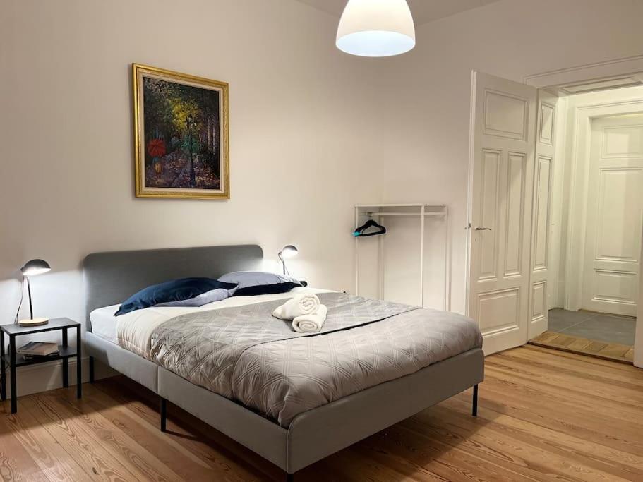 Cosy Rent Wifi Gare 1 Dream Host Straatsburg