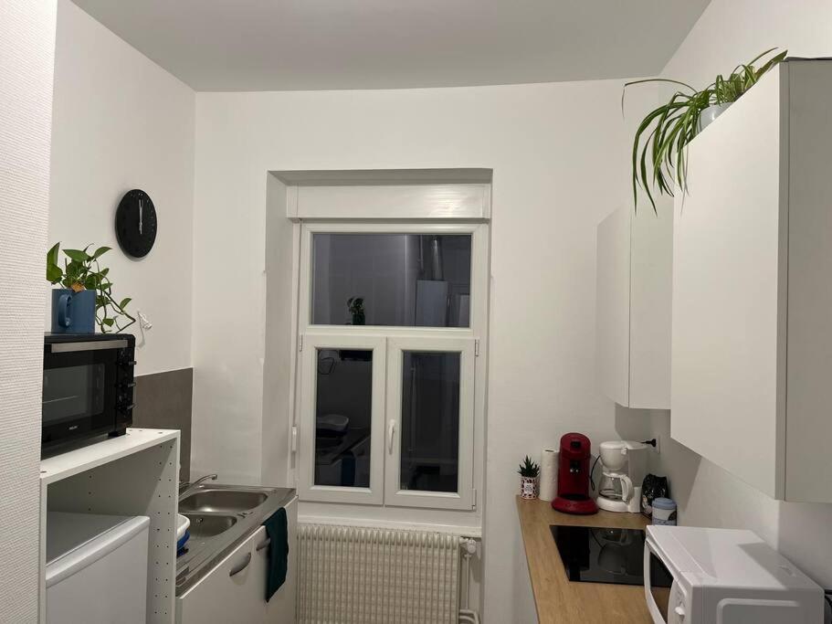 Appartement Cosy Rent Wifi Gare 1 Dream Host Straatsburg