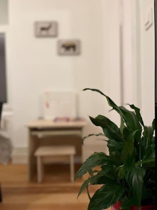 Cosy Rent Wifi Gare 1 Dream Host Appartement *
